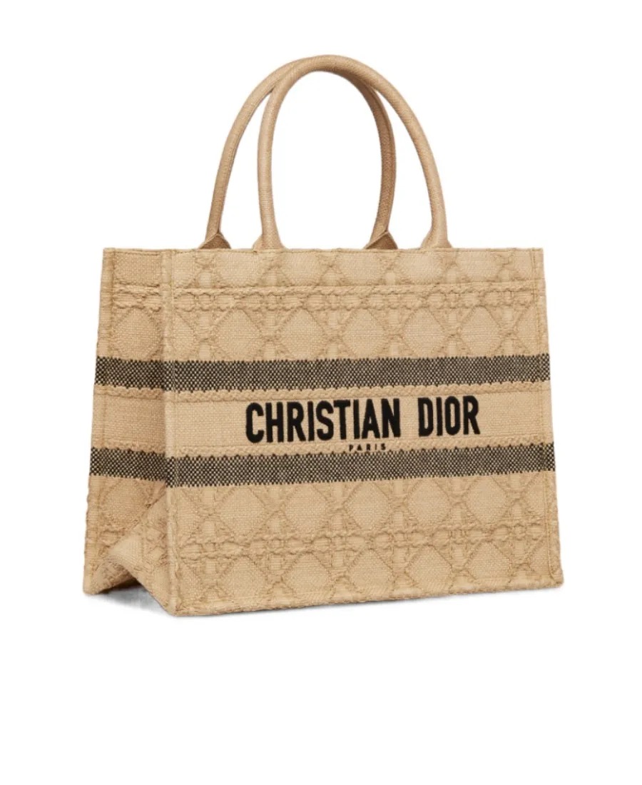 DIOR book tote