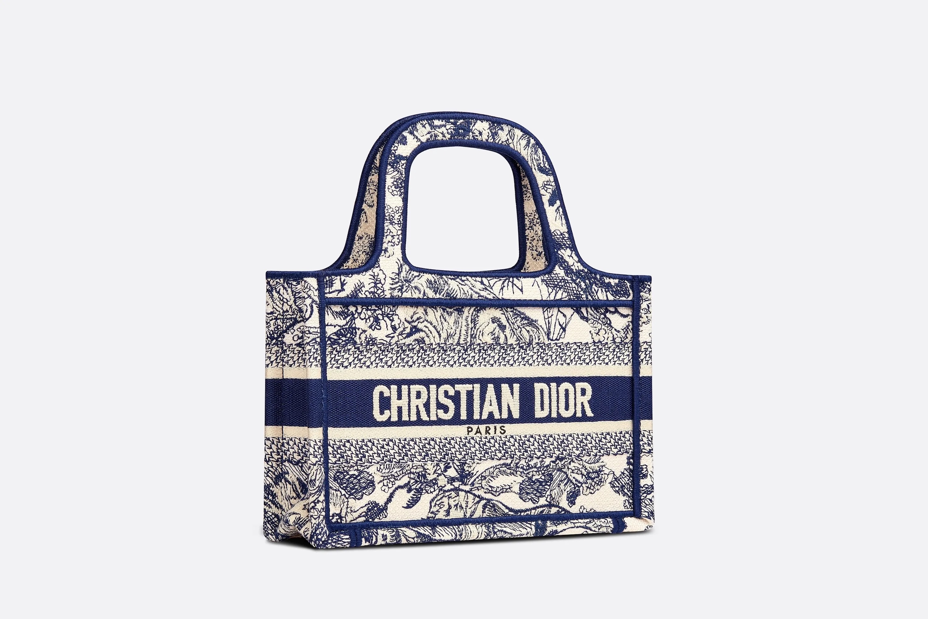 DIOR book tote