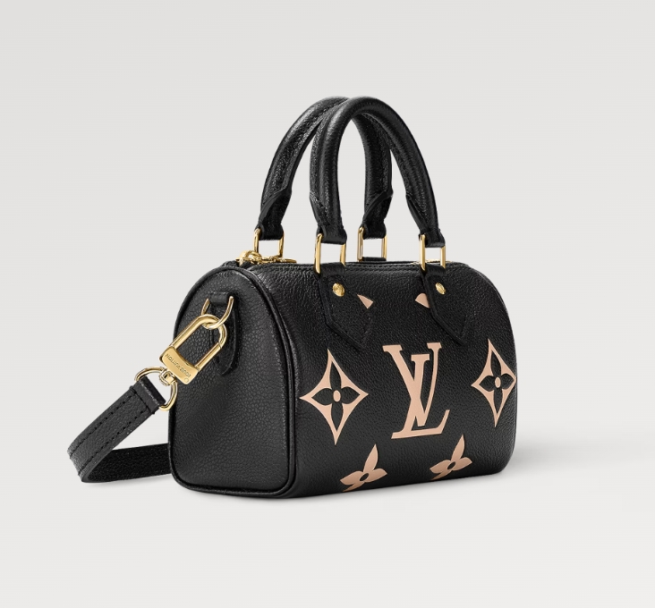 Louis Vuitton Nano Speedy