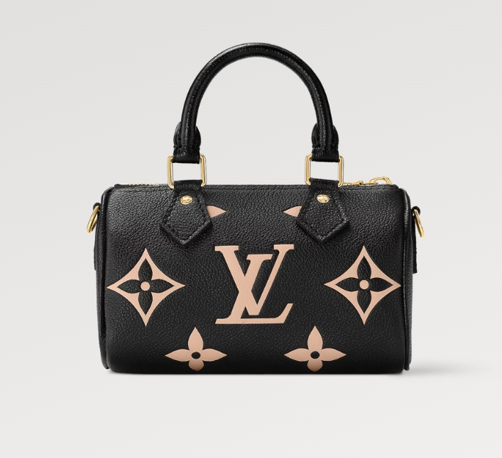 Louis Vuitton Nano Speedy